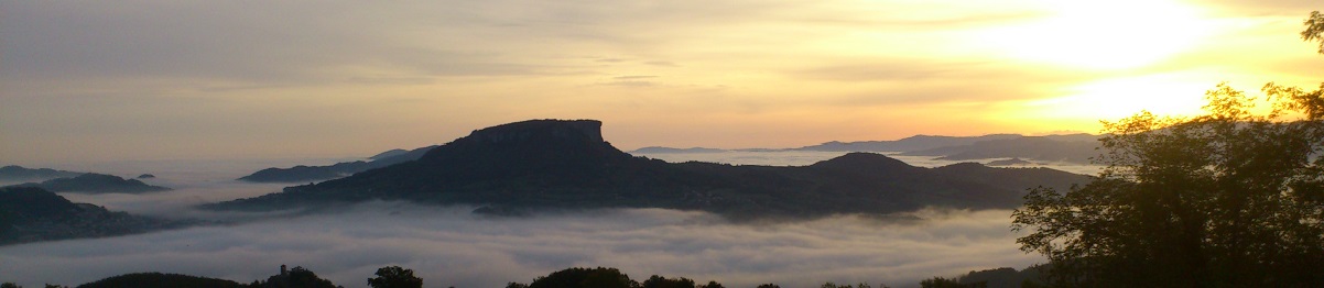 cialis online offerte